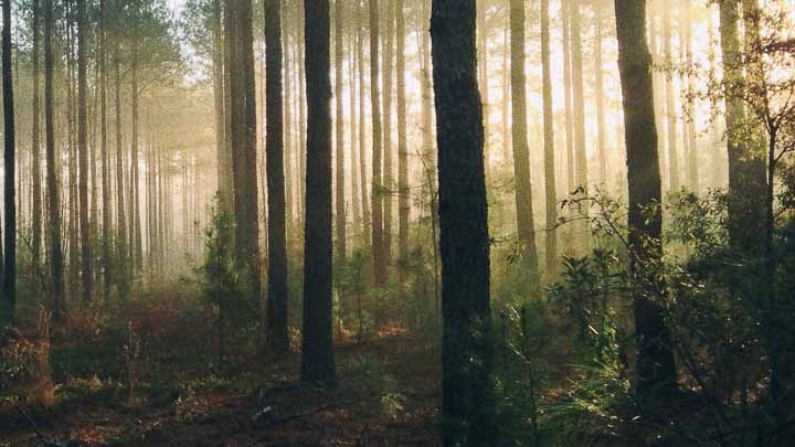 Pelletheizung – Biomasse – leise und benötigt wenig Platz