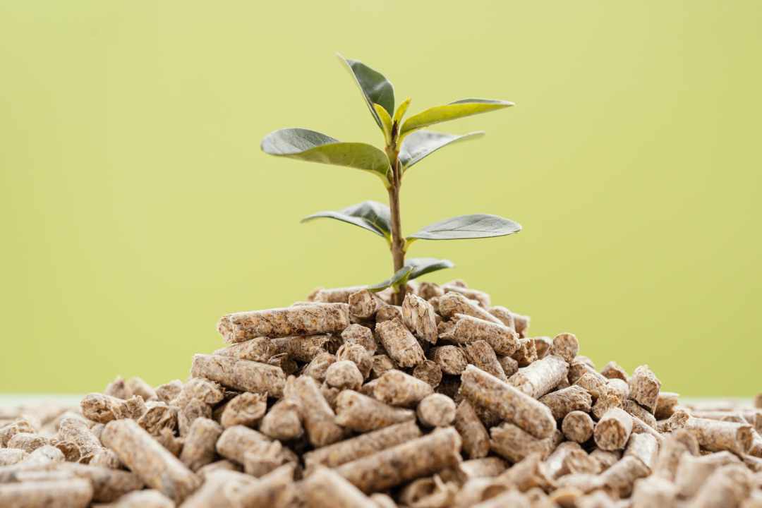 Pelletheizung - Biomasse - leise und benötigt wenig Platz 1